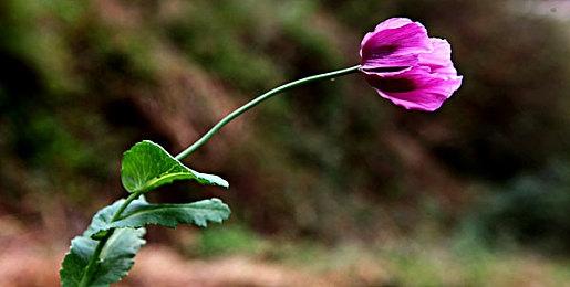 《魔咒之地》升级档优化性能表现 降低CPU与显卡压力